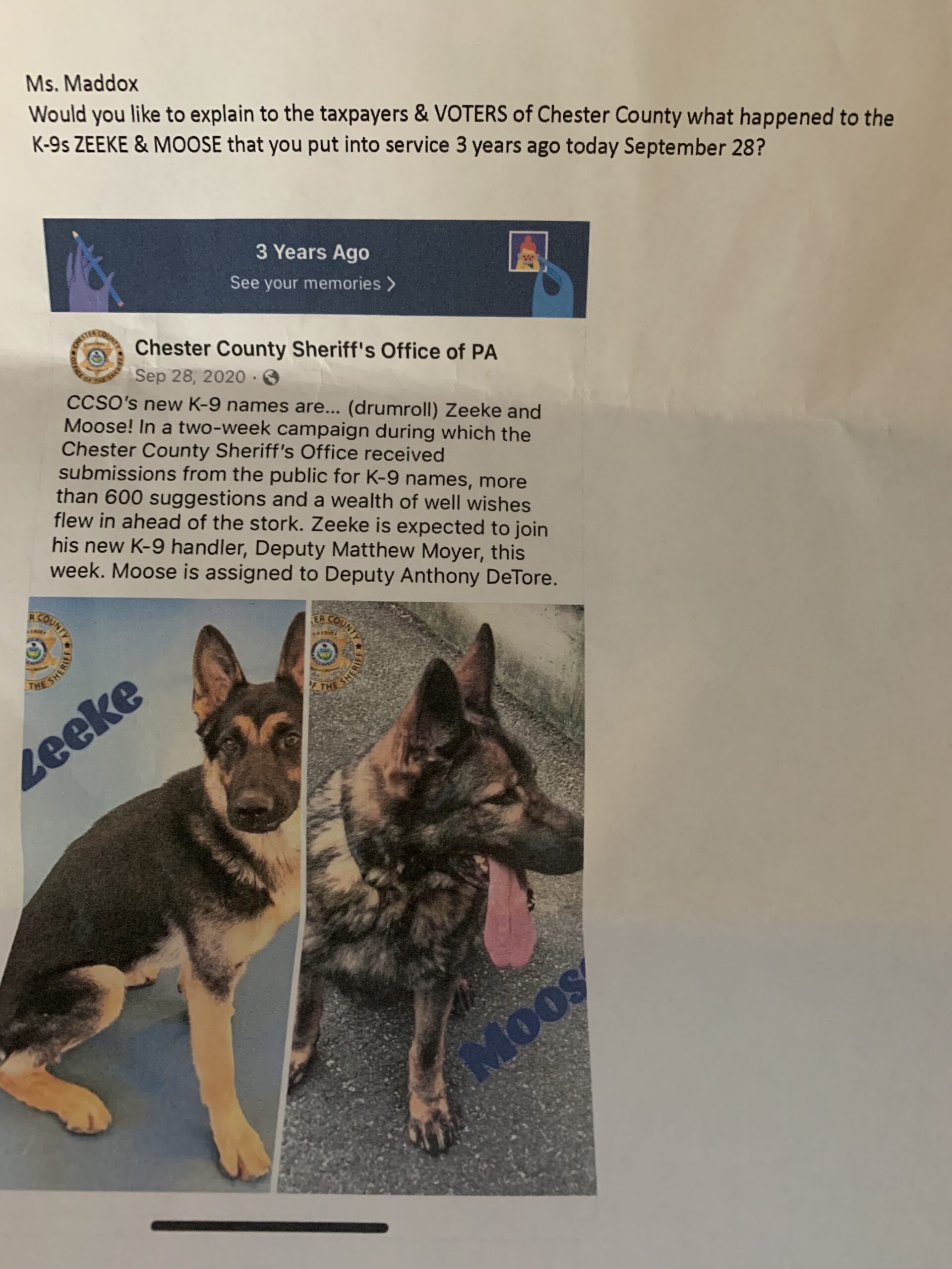 What Happened To Zeeke And Moose?